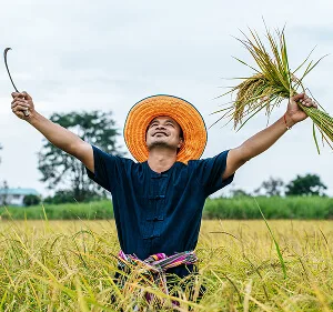 精选个性化内容推荐，满足您多样化的观赛需求。内容，乐鱼与你一同发现更多精彩。 Updates - 乐鱼