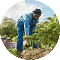 Organic Farming - 乐鱼