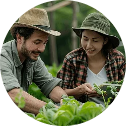 Revolutionizing  the Way Food - 乐鱼