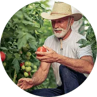 Organic Farming - 乐鱼