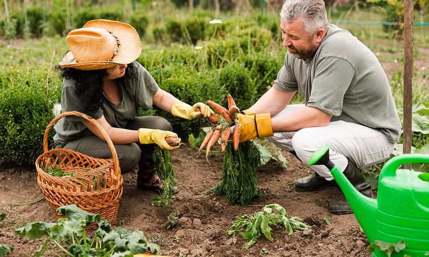 Revolutionizing the Way Food is Grown - 乐鱼